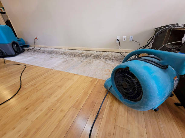 Professional Sewage Cleanup technician working in Ramer, TN